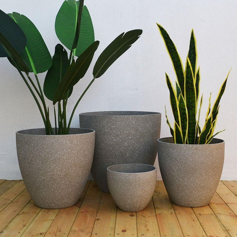 Aloe Vera Pot - Pot Bunga Bonsai Batu Imitasi Buram