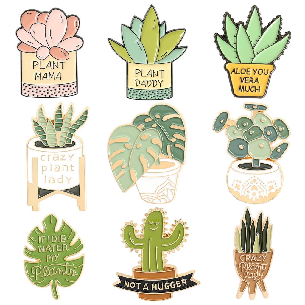 Aloe Vera Pot - Bros tanaman pot Monstera bros tanaman