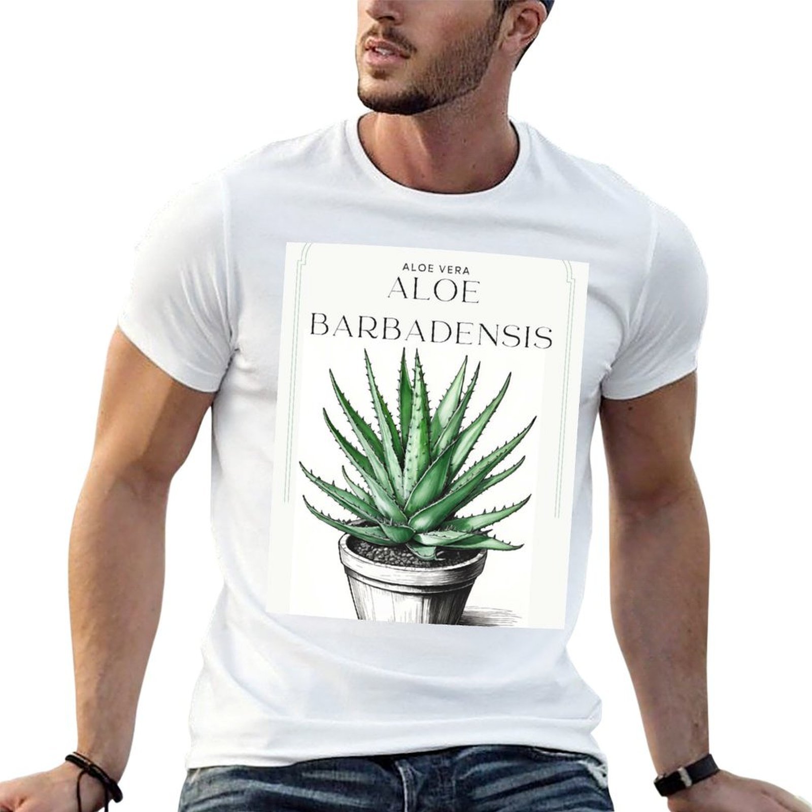 Aloe Vera Pot - Aloe Vera Botani dalam pot bergaya
