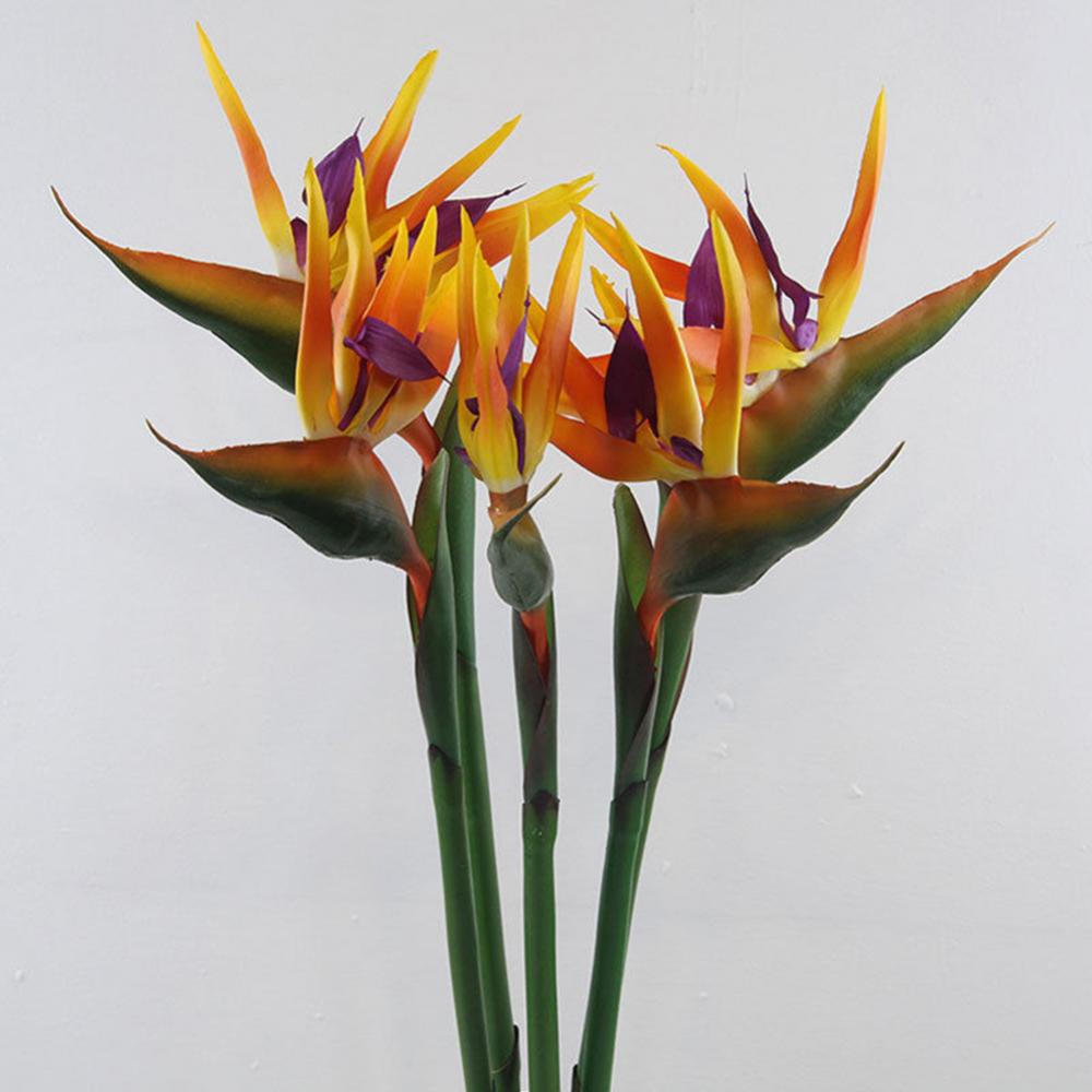Bird Paradise Strelitzia - 1 buah 80cm bunga burung surga