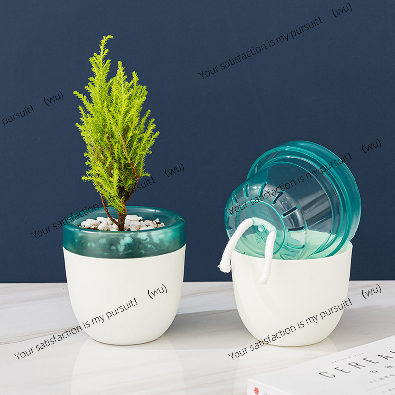 Aloe Vera Pot - Pot Bunga Otomatis Menyerap Air Tanpa