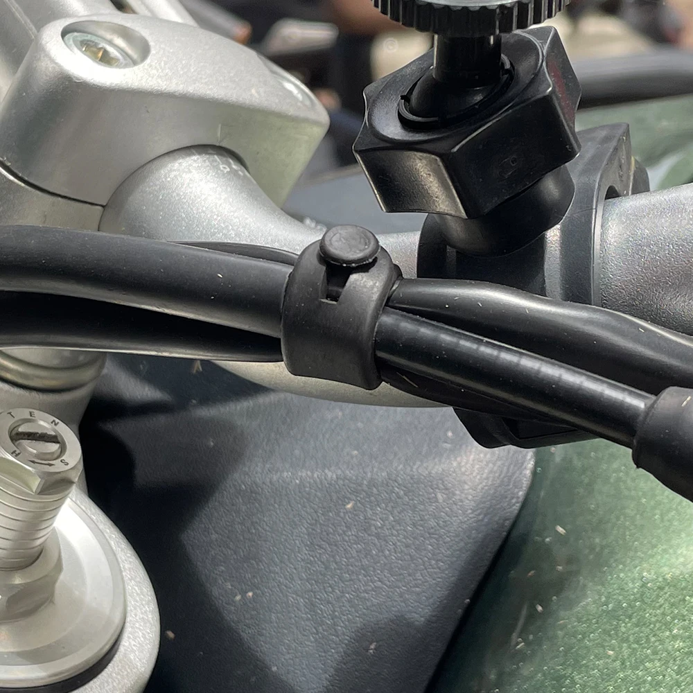 Untuk Ducati Monster Multistra - Monstera Adansonii ulasan dan harga