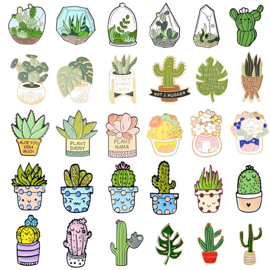 Bros tanaman pot Monstera bros - Aloe Vera Pot ulasan dan harga