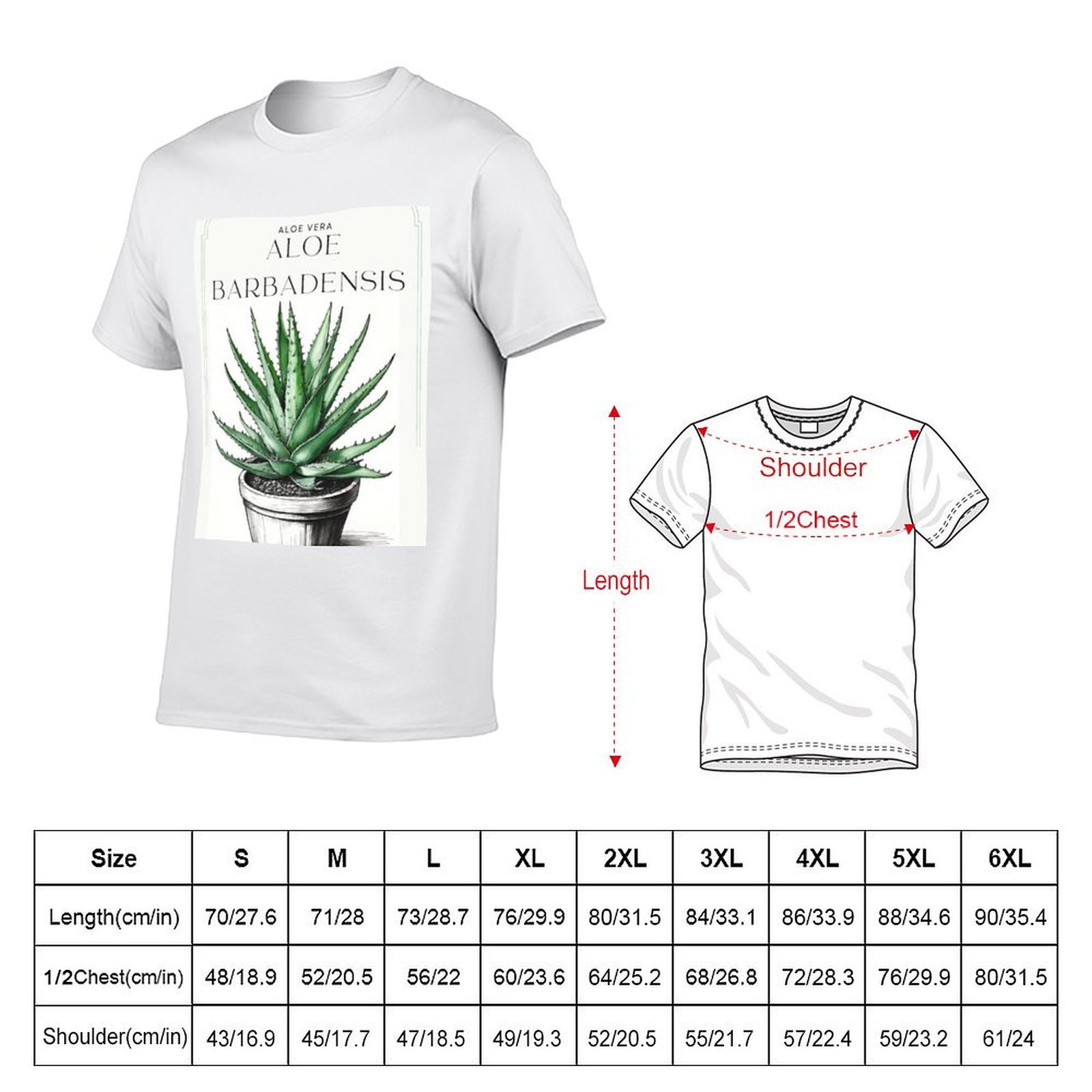 Aloe Vera Botani dalam pot ber - Aloe Vera Pot ulasan dan harga