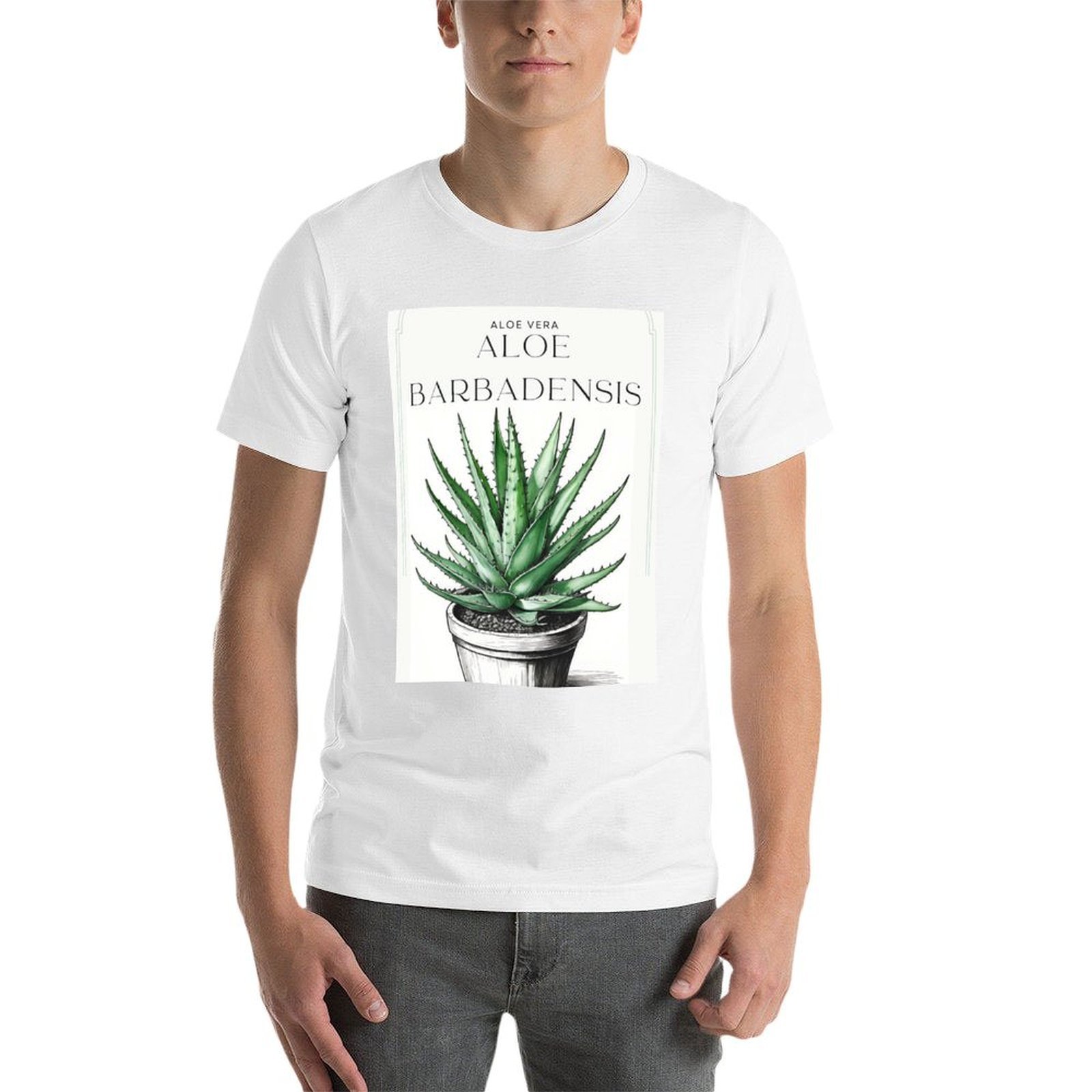 Aloe Vera Botani dalam pot ber - Aloe Vera Pot ulasan dan harga
