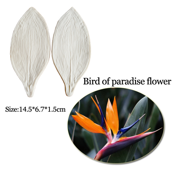 Gumpaste Besar Strelitzia Bird - Bird Paradise Strelitzia ulasan dan harga