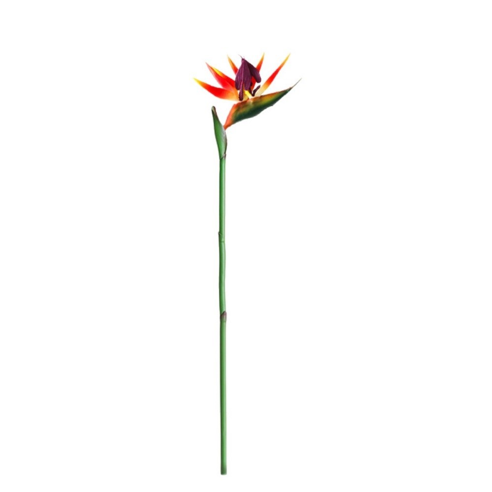 Bunga Strelitzia Buatan Panjan - Bird Paradise Strelitzia ulasan dan harga