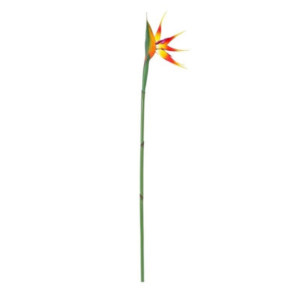 Bunga Strelitzia Buatan Panjan - Bird Paradise Strelitzia ulasan dan harga