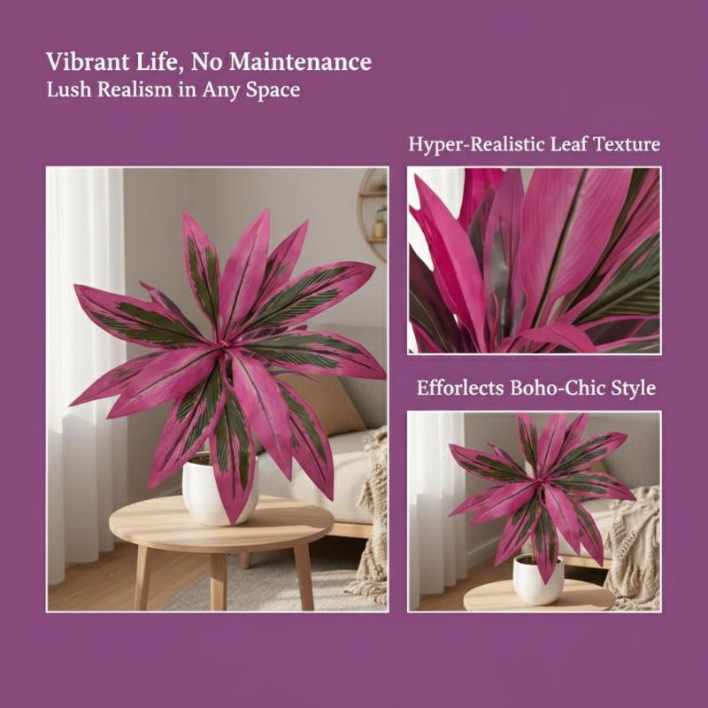 Pohon Dracaena Marginata Buata - Dracaena Marginata ulasan dan harga