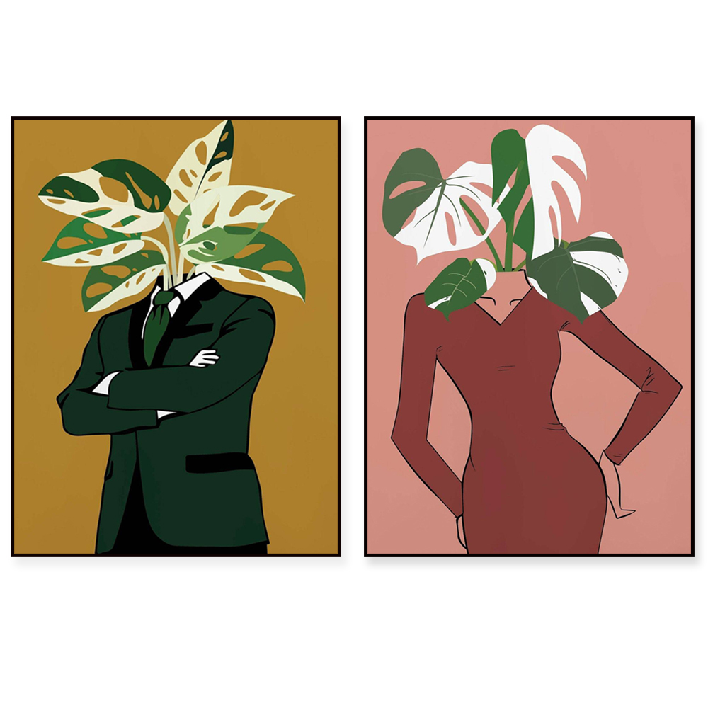 Monstera Albo dalam poster gau - Monstera Adansonii ulasan dan harga