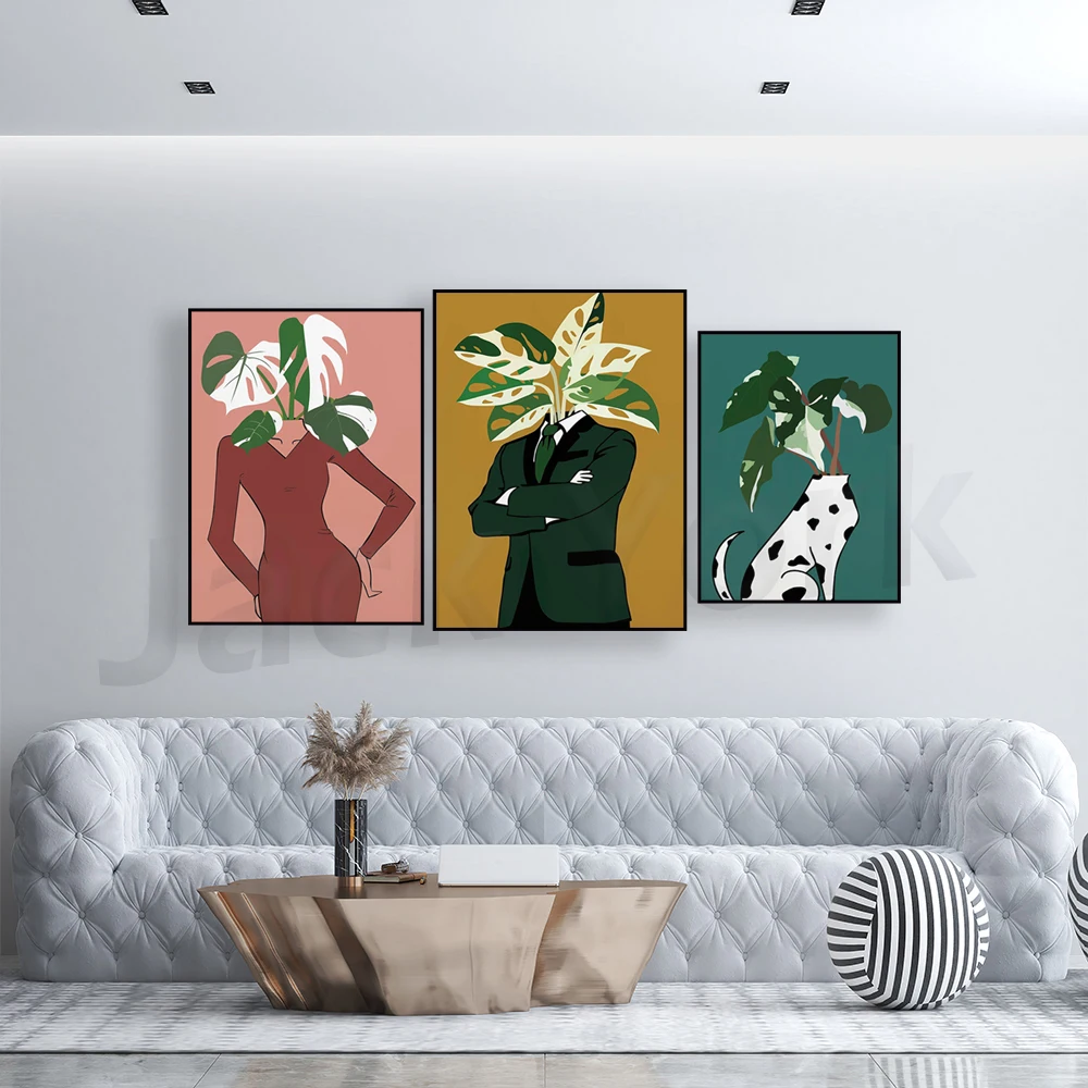 Monstera Albo dalam poster gau - Monstera Adansonii ulasan dan harga