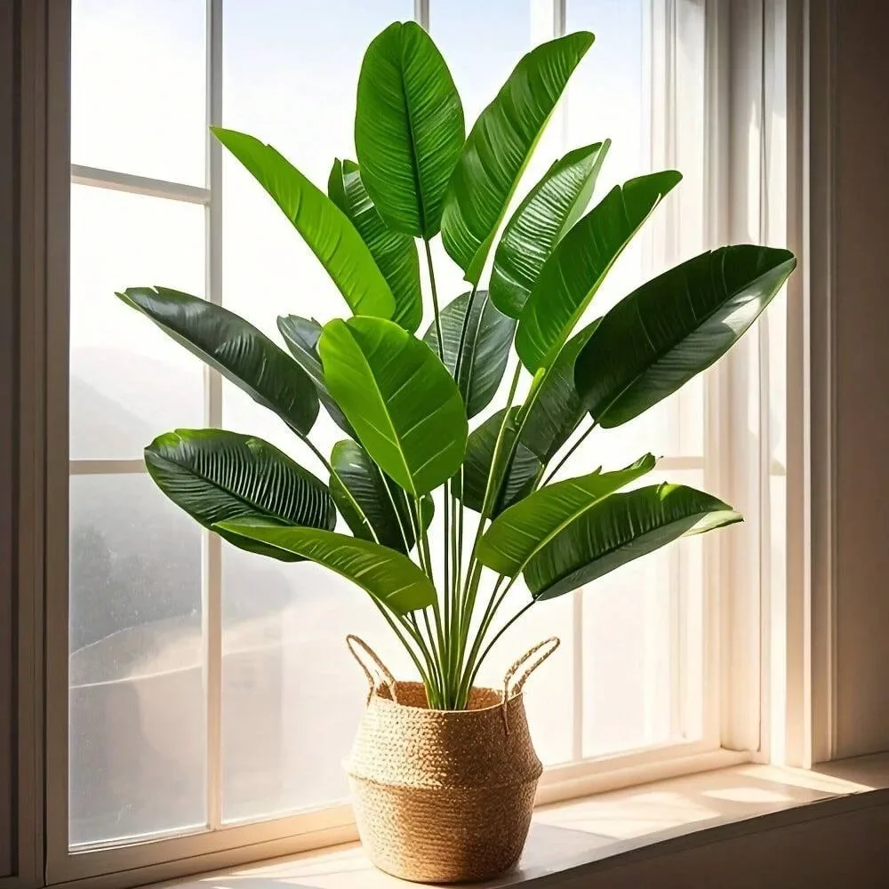 1 Buah 18 Daun Tanaman Buatan  - Dracaena Marginata ulasan dan harga
