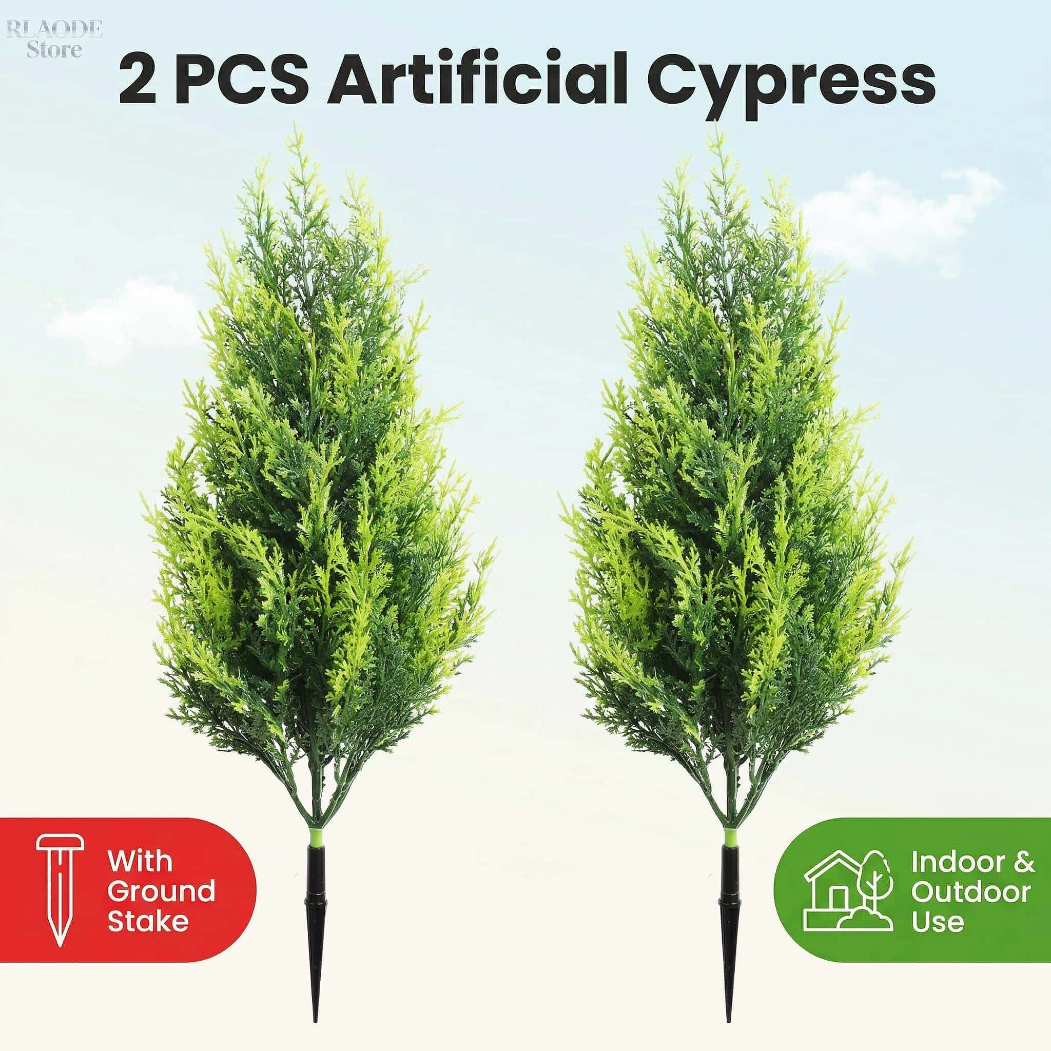 2PCS Pohon Cypress & Pakis Pal - Dracaena Marginata ulasan dan harga