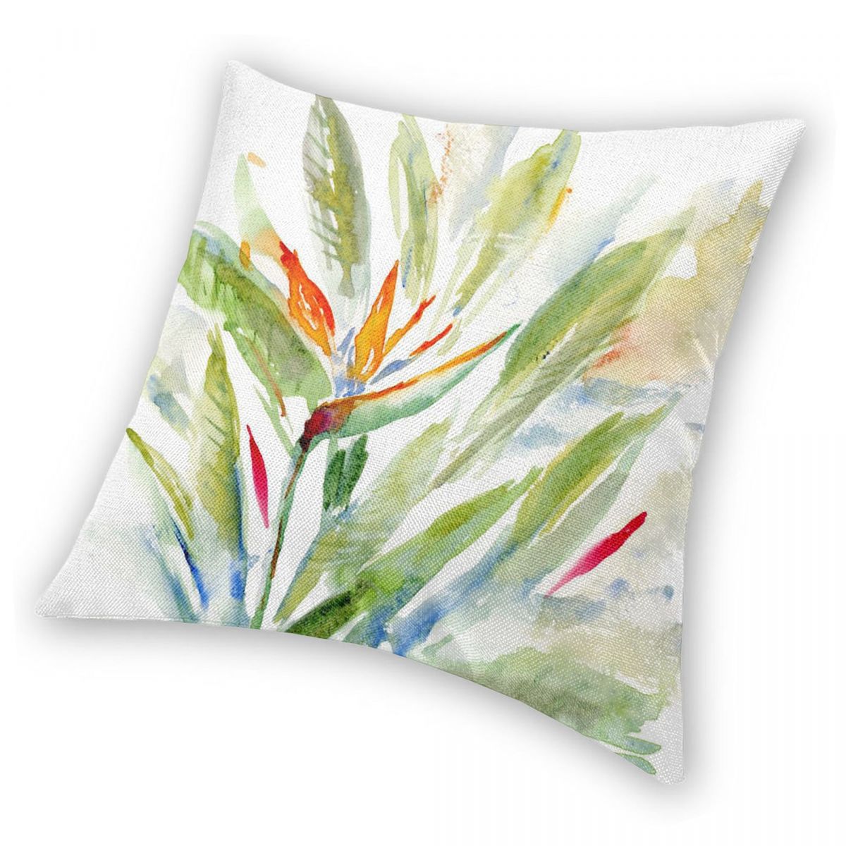 Bird Of Paradise Strelitzia Sa - Bird Paradise Strelitzia ulasan dan harga