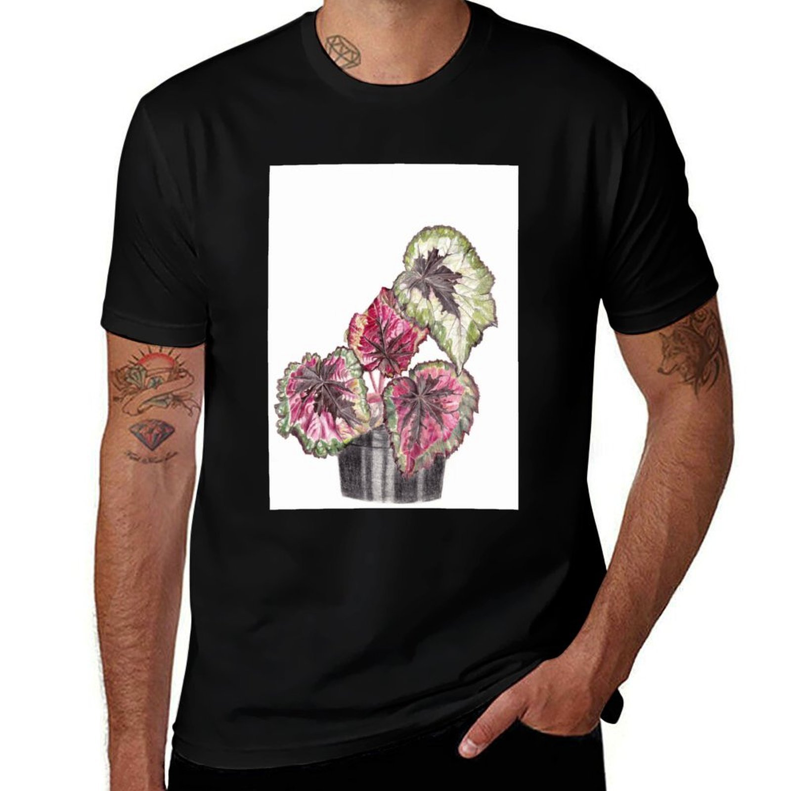 Kaos Begonia Rex Kaos Nyaman d - Begonia Rex ulasan dan harga