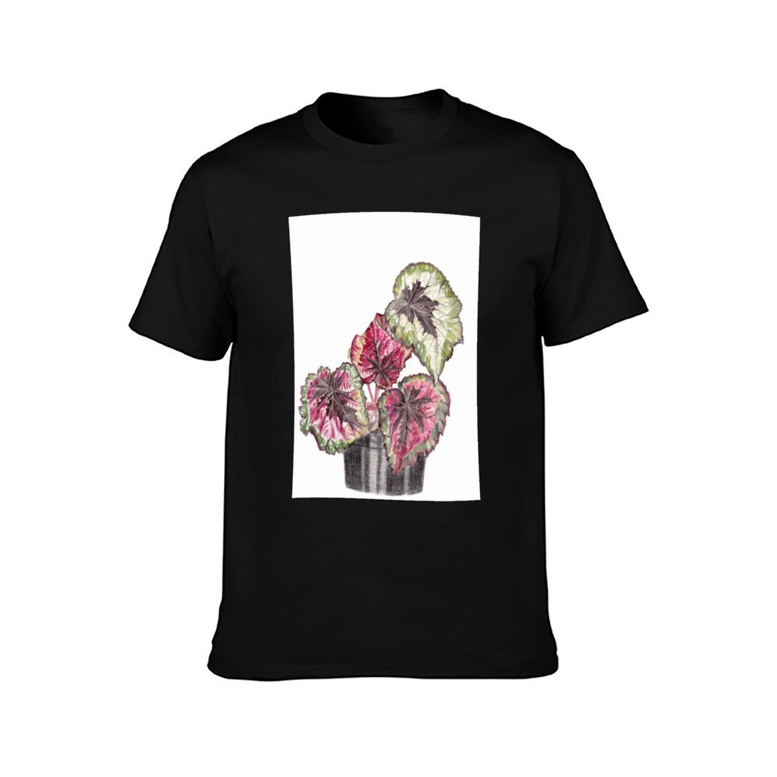 Kaos Begonia Rex Kaos Nyaman d - Begonia Rex ulasan dan harga