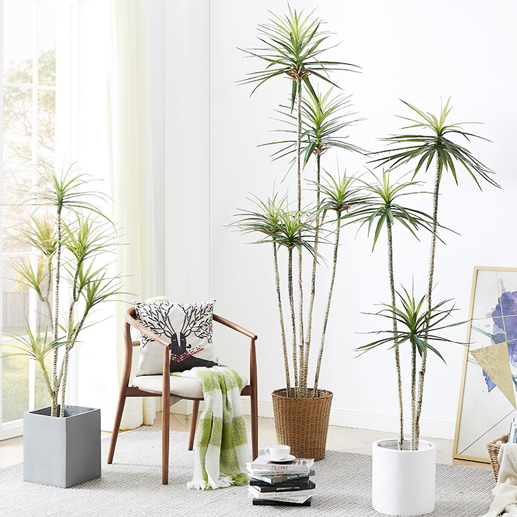 Pot Plastik Buatan ​ Tanaman D - Dracaena Marginata ulasan dan harga