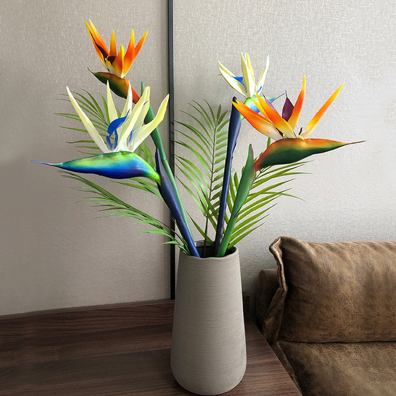 3 Buah Bunga Burung Cendrawasi - Bird Paradise Strelitzia ulasan dan harga