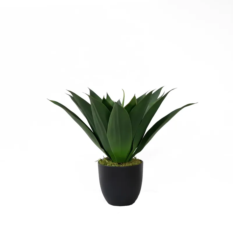 Tanaman Lidah Buaya Buatan dal - Aloe Vera Pot ulasan dan harga