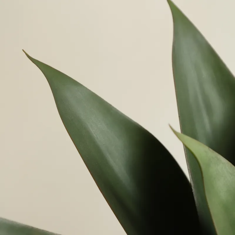 Tanaman Lidah Buaya Buatan dal - Aloe Vera Pot ulasan dan harga
